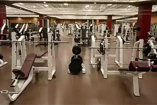 Gymnasium